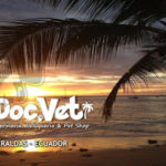 AF1QipNURMoMc2sPkj gi8y088406HVjvZGI vH8MulAw427 h240 k no