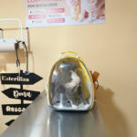 Clínica Veterinaria BAI - Bienestar Animal Imbabura - Ibarra 3 AF1QipNWcjpmFf7f5r zs3oyQ6V2vSO2S hyUj6HNFMdw408 h306 k no