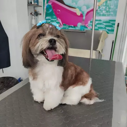 AF1QipNY1wVsEk33TC cInT4b734DnwhU8Bgmodckcw7w408 h408 k no