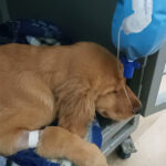 AF1QipNY47ALGAdbjWIcSHsaZ2m16V5KD4ZjUH0Cot5Lw426 h240 k no