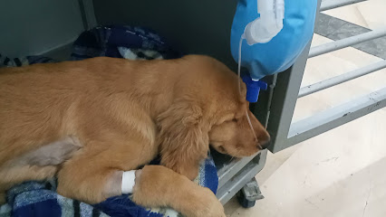 AF1QipNY47ALGAdbjWIcSHsaZ2m16V5KD4ZjUH0Cot5Lw426 h240 k no