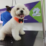 AF1QipNYXb8OOAjovh8S0 SM0kwj0WzDsCf8jwJPJEkQw408 h306 k no