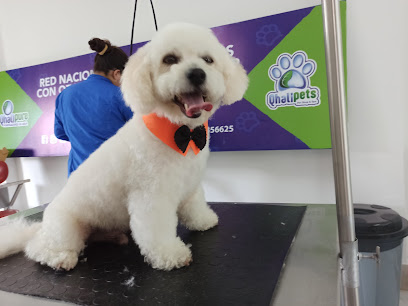 AF1QipNYXb8OOAjovh8S0 SM0kwj0WzDsCf8jwJPJEkQw408 h306 k no