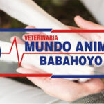 AF1QipNZZ88j1gfJKvZm BSHEb1 YjLmQWcuLRXg3kxEw509 h240 k no