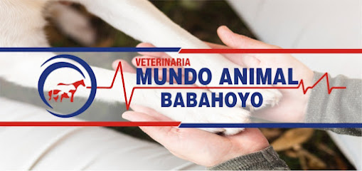 AF1QipNZZ88j1gfJKvZm BSHEb1 YjLmQWcuLRXg3kxEw509 h240 k no