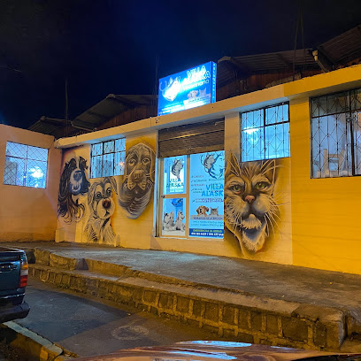 AF1QipNZr8Byx11rozEE5kTUaZIcj5ZlmT5p0QwITsLbw408 h408 k no