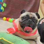 AF1QipNcVZXkOwzy3UNEV01Xnes7LWtqtmR4gH9RhqS4w427 h240 k no