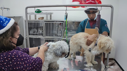 Clínica Veterinaria Kitsune – Quito