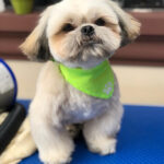 AF1QipNgd7VT uP0P03dVp456h4Vy01K4QdLgB1utptpw408 h488 k no