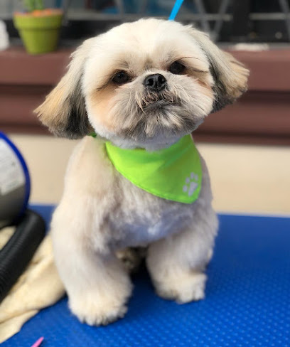 AF1QipNgd7VT uP0P03dVp456h4Vy01K4QdLgB1utptpw408 h488 k no