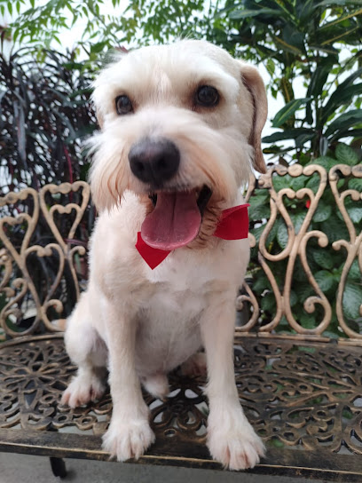 AF1QipNhe5VEnUUdfQcynKdKRq8Xeo8K5indFbVegJCvw408 h544 k no