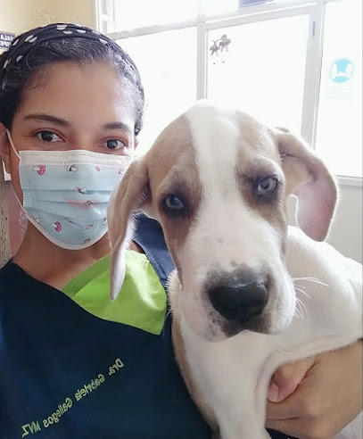 VETERINARIA MUNDO ANIMAL – Naranjal
