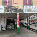 AF1QipNqEUbEI2khhynbIeRW8dniW0C072ft9danmOc0w408 h543 k no