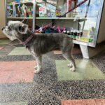 AF1QipNszkcF8VOMfeoq QIDXmX82jaEjB12wsW AYWrw408 h306 k no