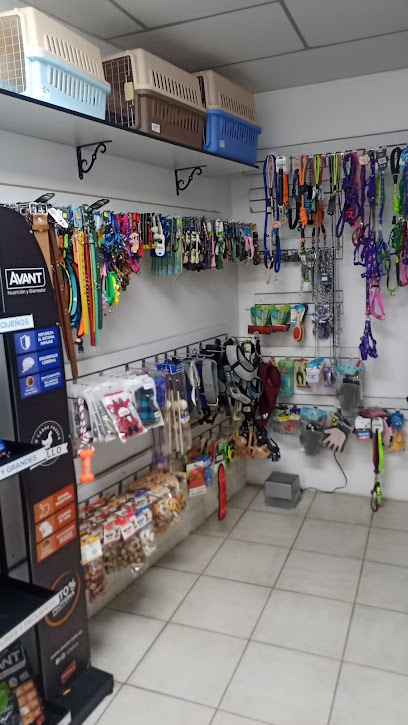 AF1QipNuvQhYkmjX0kheF8Z Uni8FGjKG 6exZBb6757w408 h725 k no