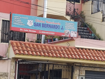 AF1QipNwzq6X1cOWCHLbmq9S39nHp5UvO4B3jjQYtmqkw408 h306 k no