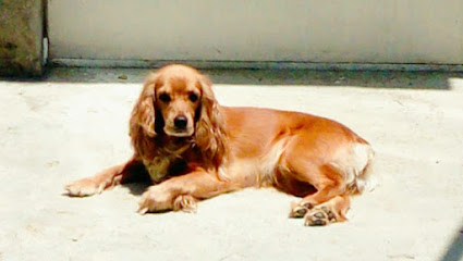 AF1QipNx0pZMuNwMqB7vhoq8pQopnnXtAf ff4e60kg w425 h240 k no