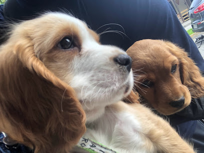 AF1QipNz1EEWkAEoQpv30MCZkcFsjZwtmbA5L2SZhYow408 h306 k no