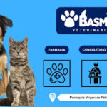 AF1QipNzL w Flc2R3FCpJGm9LLD1z2Pn3s4eXtXpUQw425 h240 k no