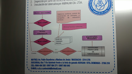 AF1QipO A8W3zjYhFVgnNpTBlLNVsQ8j6N0cArkGLsJCw426 h240 k no