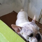 AF1QipO wY6mpxPq oocHs8FcoHsO ZVpcTCBS tOzLw408 h725 k no