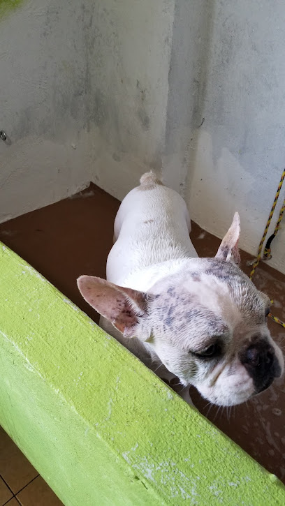 AF1QipO wY6mpxPq oocHs8FcoHsO ZVpcTCBS tOzLw408 h725 k no