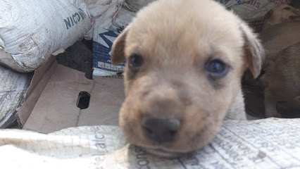 AF1QipO0dnjc7c5MeCenZSrYDe7rK3oj1ZrzVYYOsmWIw426 h240 k no