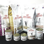 VET CENTER VETERINARIA. - Machala 10 AF1QipO19CLZhLB5zm2Tqbex6vtWiEJkjhoN6n0gbrNyw408 h278 k no