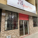 AF1QipO1ZW zkXx7jYZv7T4jSWuzI8Vsr01rdp4R28Wxw408 h544 k no