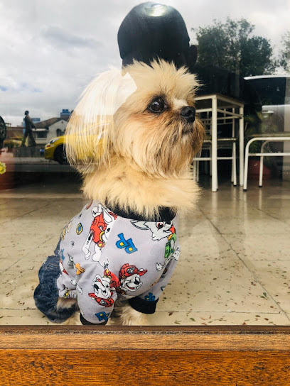 AF1QipO33uTQVEGZzWL6 K1 jL5ozjpxaLVVWEqQgW4Ow408 h544 k no