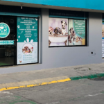 AF1QipO398tcNXh2leBjEw29JD8WQJnrE9K3GfYLSUZWw426 h240 k no