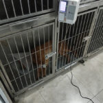 AF1QipO7HGUOdaXak O50C7kvU7mqw7DeMldGjk817nvw408 h544 k no