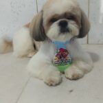 AF1QipOBB w7RBqto6H7dtwTX 9E2u14UBJ Cr7dW1Bow408 h907 k no