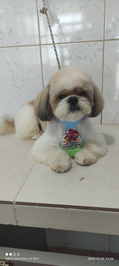 The Dog’Salon – Tena