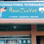 Veterinaria RAANZOOVET - Ambato 13 AF1QipOGoGZjH5i3qRCgrPFKMYwdKfpeOw zpZ82wotIw408 h298 k no