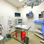 AF1QipOI2WS9zyMQuBsYCIQ1tand0JCUj 5YxI2FcooTw408 h305 k no