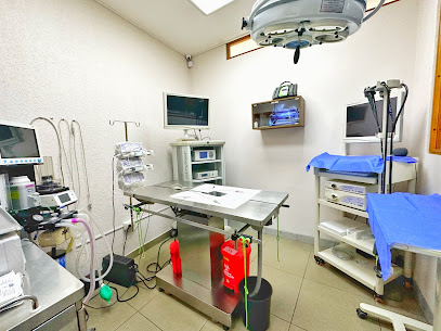 AF1QipOI2WS9zyMQuBsYCIQ1tand0JCUj 5YxI2FcooTw408 h305 k no