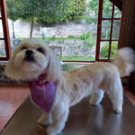 AF1QipOIM4ZunXNgmFI13KzK7n0rU0KuEd GYXRV5eXJw408 h544 k no