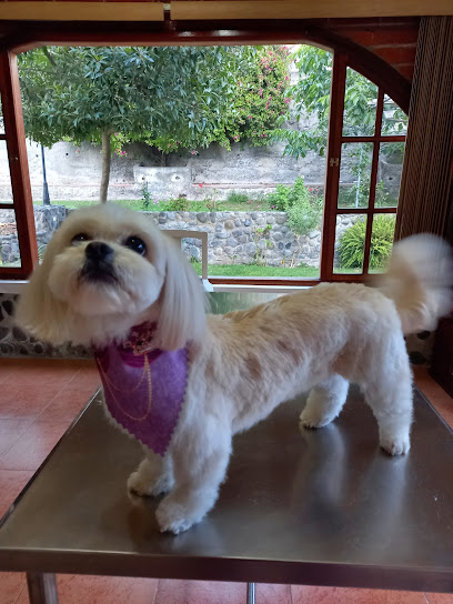 AF1QipOIM4ZunXNgmFI13KzK7n0rU0KuEd GYXRV5eXJw408 h544 k no