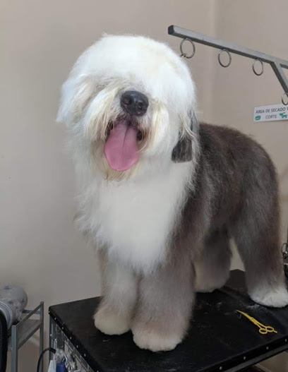veterinaria y peluquería canina VET GROOMING – Sangolqui