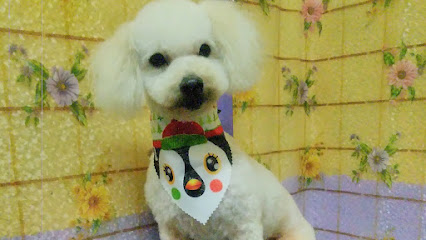 AF1QipONIHpbRmw1LmOxC5ymhZYnvJxfDTPhCqieCltcw426 h240 k no