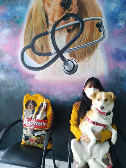 Clinica Veterinaria Mi Mejor Amigo – Cuenca