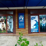 AF1QipOPhPmZkFhWw2KmmznPpSswihuZIEk8K 6FhTpLw408 h296 k no