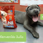 AF1QipO Za0D8JS5SvRGK oJineAOPyNgGyp4DfhLtt1w408 h306 k no