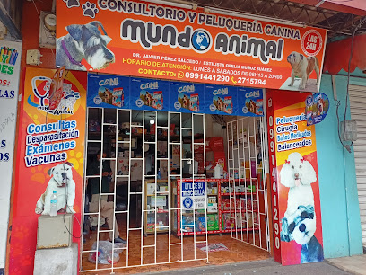 AF1QipOeof1WI1aE1ml 8jqFHyZBIBg3yAGkZGivQ8g w408 h306 k no