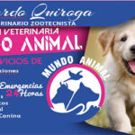 AF1QipOjvvauHei yis1RNF8bOo4o5b kQLd81ABfogmw423 h240 k no