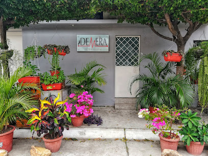 AF1QipOjz1wI2vRAILYM3bPIFbWOBSDZ37LtZCfFpeALw408 h306 k no