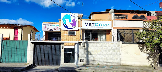 VetCorp Clínica Veterinaria - Quito 1 AF1QipOuYtnLzFMLMCGH2Uo4nc6k7xcxdAPnHlhYDcBXw533 h240 k no