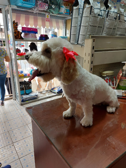 Mascotfigli – Guayaquil