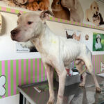 AF1QipP 5bp0rR MuiddHo iBGCH P8llsHPU61fs7 mw408 h544 k no